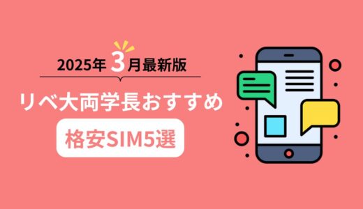 【2025年3月最新版】リベ大両学長オススメ格安SIM5選！